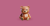 thumb-Toy brown bear with two band-aids on its heart, sitting against a magenta background